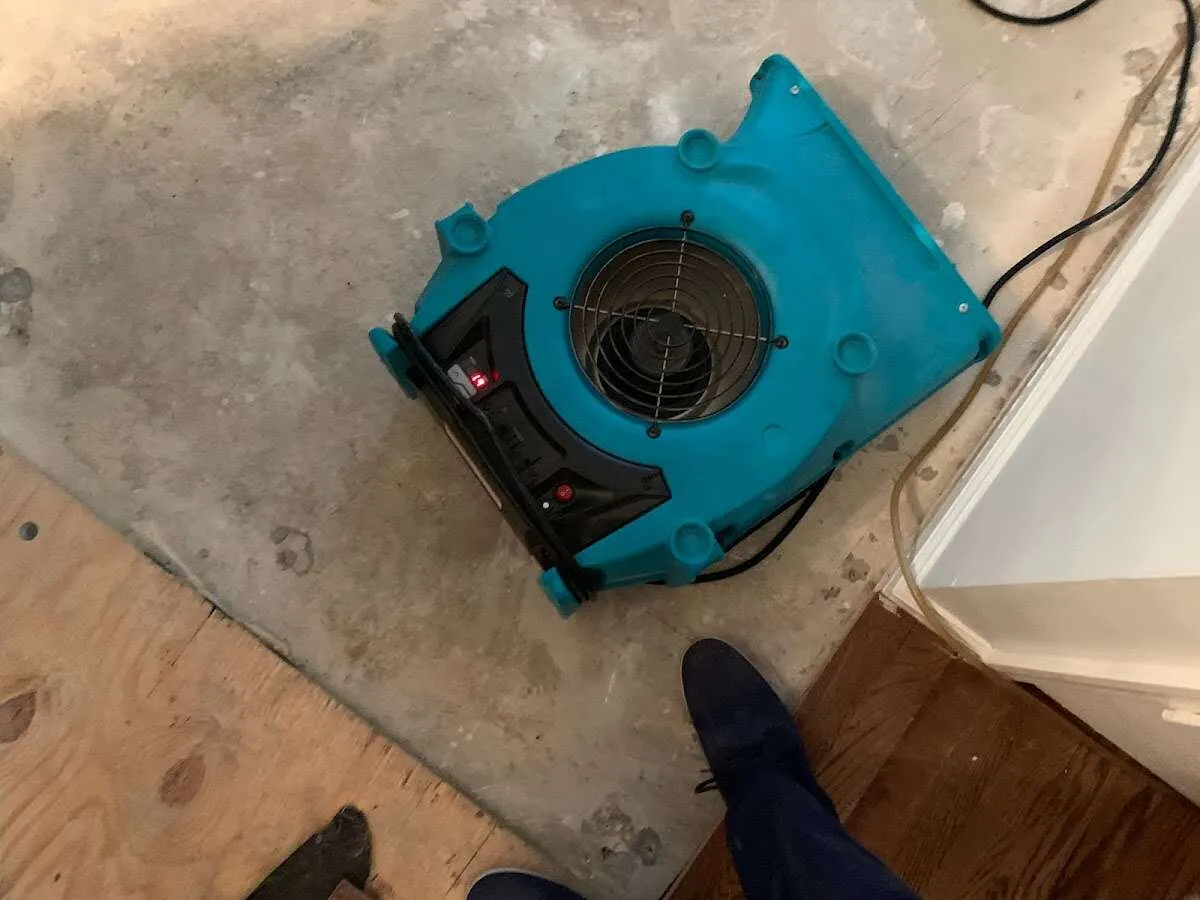 Air mover drying subfloor during Commercial Water Damage Restoration in Chain Lake